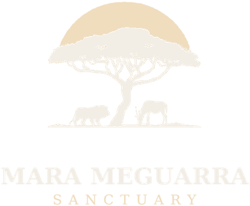 Mara Meguarra Sanctuary